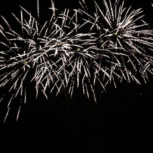 TROPIC PRO BF48S2-5001